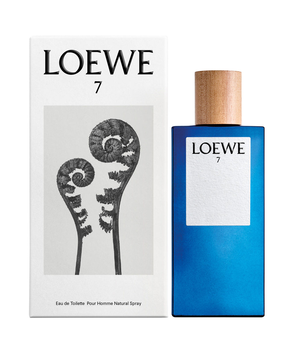 Loewe 7